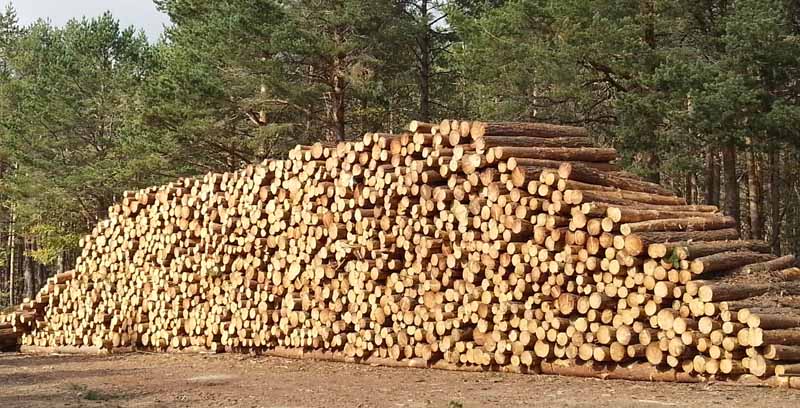 Consejos para restaurar madera