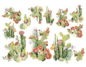 papel de arroz cactus