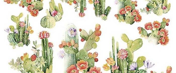 papel de arroz cactus