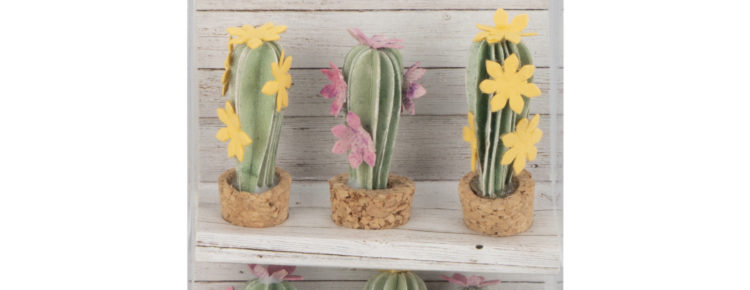 Cactus decorativos para manualidades